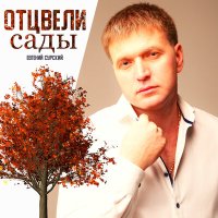 Скачать песню Евгений Сурский - Отцвели сады