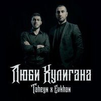 Скачать песню TAHEYN, Evkhan - Люби хулигана