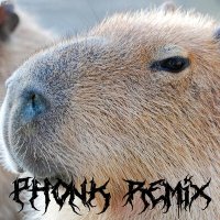 Скачать песню Сто-Личный Она-Нас, DXXDLY - Capybara (Phonk Remix)