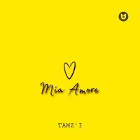 Скачать песню TAMZ'I - Mia Amore