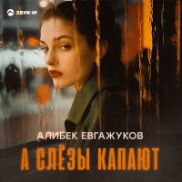 Скачать песню Алибек Евгажуков - А слезы капают