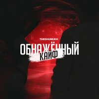 Скачать песню theshumukh - Обнажённый кайф