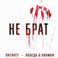 Скачать песню Shtaket, Лебедь & Shaman - Не брат