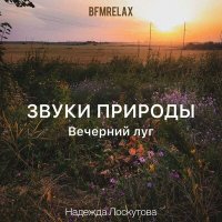 Скачать песню Надежда Лоскутова - Звуки природы. Вечерний луг