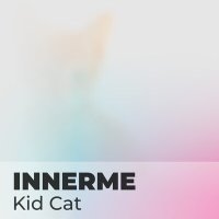 Скачать песню Innerme - Kid Cat