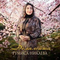 Скачать песню Румиса Никаева - Делалойша