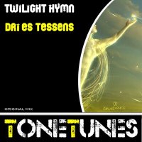 Скачать песню Dries Tessens - Twilight Hymn