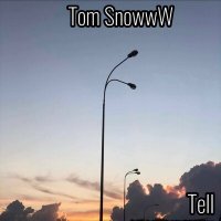 Скачать песню Tom SnowwW - Tell