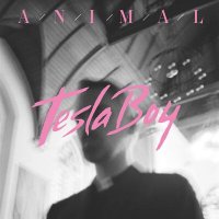 Скачать песню Tesla Boy - Animal