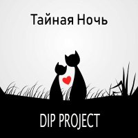 Скачать песню DIP Project - Тайная ночь