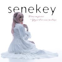 Скачать песню senekey - Рядом