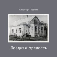 Скачать песню Владимир Глебкин - День начинался с уличного гама