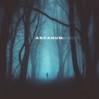 Скачать песню skyfall beats, silent anthem - arcanum