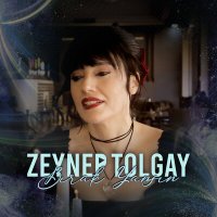 Скачать песню Zeynep Tolgay - Bırak Yansın