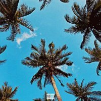 Скачать песню al'aronbi - Каждый ебаный день