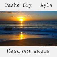Скачать песню Pasha Diy, AYLA - Незачем знать