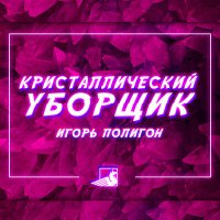Скачать песню Игорь Полигон - Кристаллический уборщик (KalashnikoFF Remix 2024)