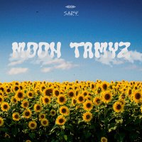 Скачать песню sary - Moon Tamyz