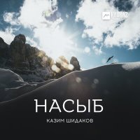 Скачать песню Казим Шидаков - Лейла