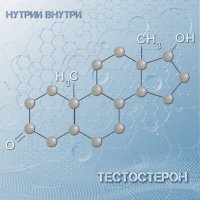 Скачать песню НУТРИИ ВНУТРИ - Тестостерон
