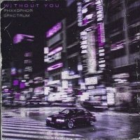 Скачать песню PHXXSPHOR, SPXCTRUM - Without You