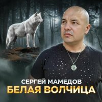 Скачать песню Сергей Мамедов - Белая волчица