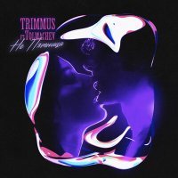 Скачать песню Trimmus, Tolmachev - Не пятница