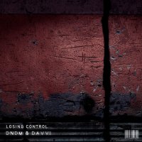 Скачать песню DNDM, Davvi - Losing Control