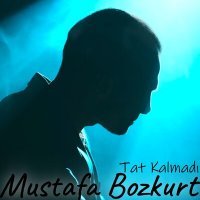 Скачать песню Mustafa Bozkurt - Tat Kalmadı