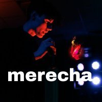 Скачать песню merecha - Мотылёк