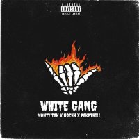 Скачать песню NOCHH, MONTY TAK, FAKETRILL - WHITE GANG