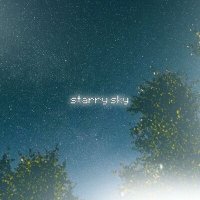 Скачать песню SXMPER - starry sky