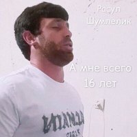 Скачать песню Расул Шумлелик - А мне всего 16 лет