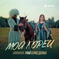 Скачать песню Амина Магомедова - Мой горец