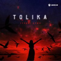 Скачать песню TOLIKA - Гуляй душа