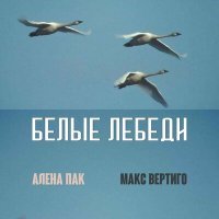 Скачать песню Макс Вертиго, Алена Пак - Белые лебеди