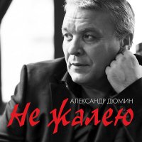 Скачать песню Александр Дюмин, Ильдар Южный - Да гори оно огнём