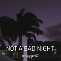 Скачать песню ninjagger67 - not a bad night