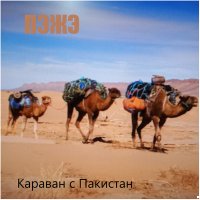 Скачать песню Пэжэ - караван с пакистан