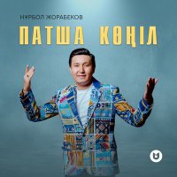 Скачать песню Нұрбол Жорабеков - Патша көңіл