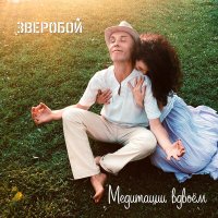 Скачать песню Зверобой - Медитации вдвоём