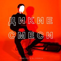 Скачать песню Nebezao, Dj Zavala - Дикие смеси