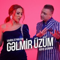 Скачать песню Rüfət Axundov, Vahidə Zeynalova - Gəlmir Üzüm