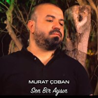 Скачать песню Murat Çoban - Sen Bir Aysın