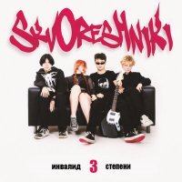 Скачать песню СКВОРЕЧНИКИ - Инвалид 3 степени