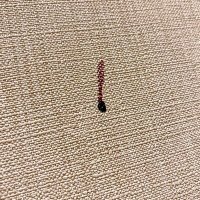 Скачать песню DEADFAN - Борьба