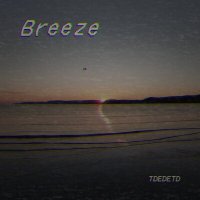 Скачать песню TDEDETD - Breeze