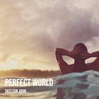 Скачать песню Skelton John - Perfect World