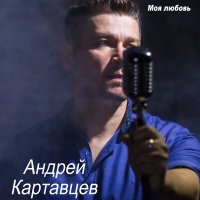 Скачать песню Андрей Картавцев - Не рви мне душу (Remix)