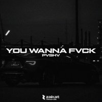 Скачать песню PVSHV - YOU WANNA FVCK